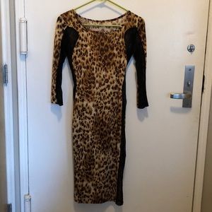 Leopard long sleeve dress with mesh panels